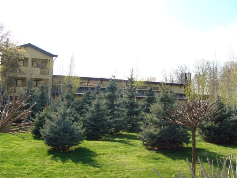 17238CD77D68 5