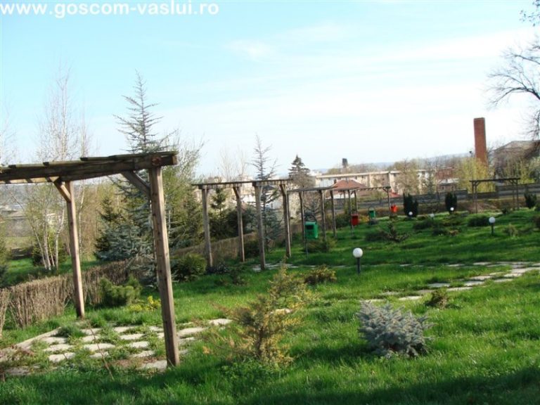 Copou 014