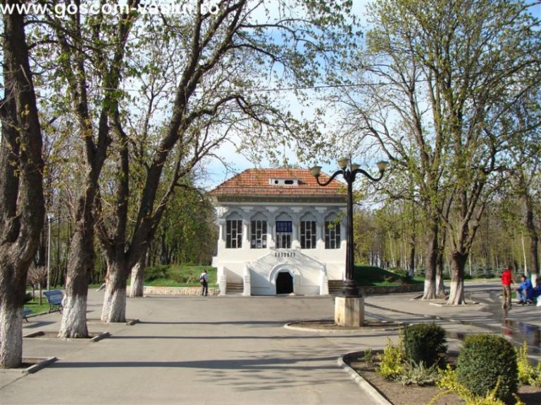 Copou 023