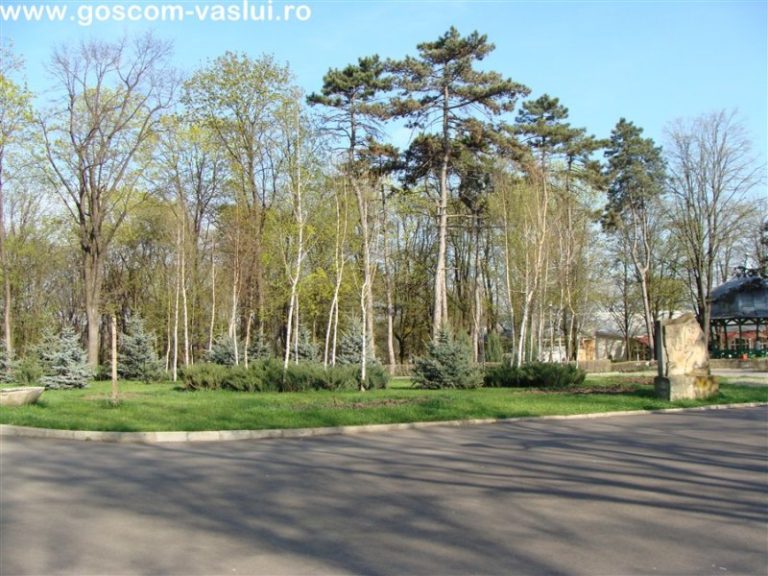 Copou 031