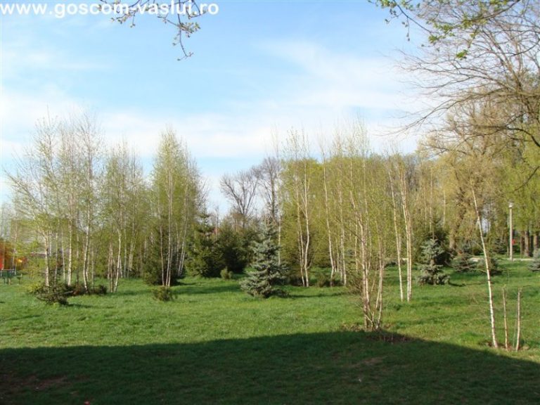 Copou 044