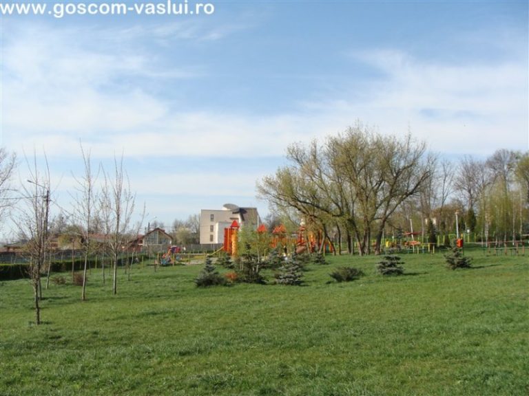 Copou 047