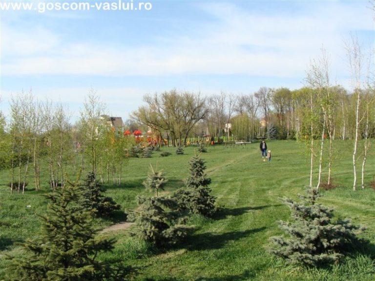 Copou 049