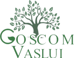 Goscom Vaslui